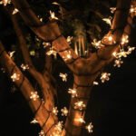 Wholesale of LED indoor and outdoor decorative light strings